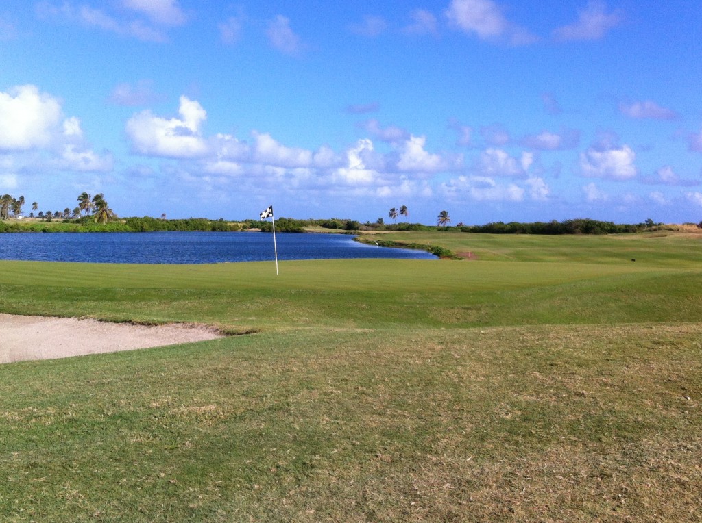 PerryGolf Caribbean Couples Golf Cruise