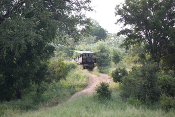 PerryGolf Safari Challenge on Biyamiti River at Jock Safari Lodge