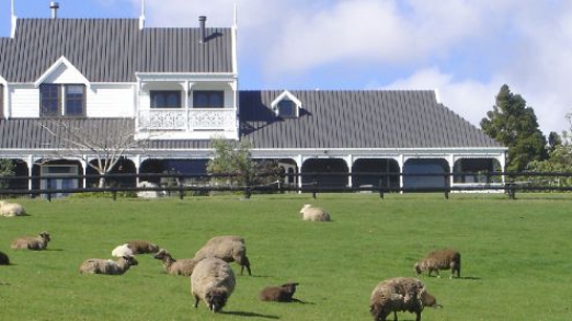 Country Homestead at Black Sheep Farm