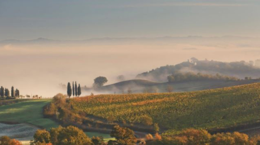 Castiglion Del Bosco - view