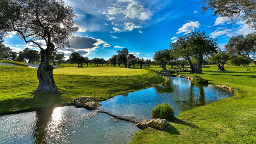 Quinta Da Cima