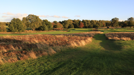 Walton Heath Old