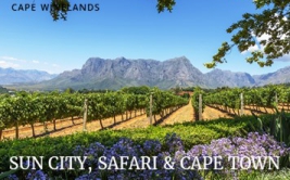 South Africa - Sun City, Safari & Cape Town