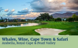 South Africa - Whales, Wine, Cape Town & Safari 