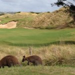 Australian Golf Vacation by PerryGolf