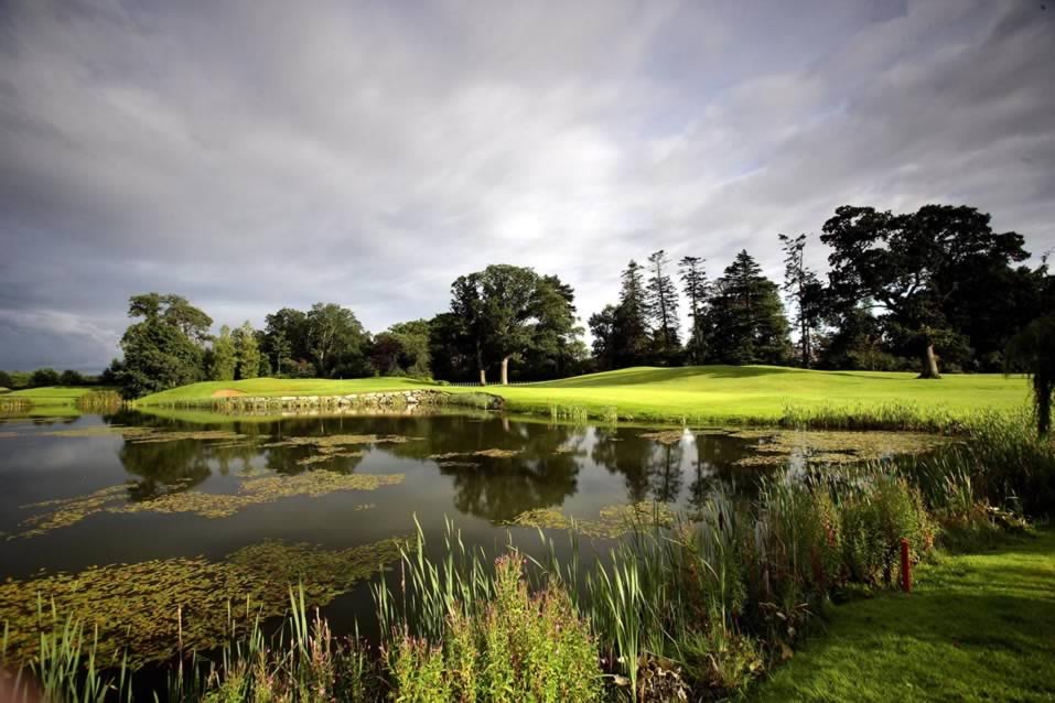 Ryder Cup Course at The K Club | Palmer Flight