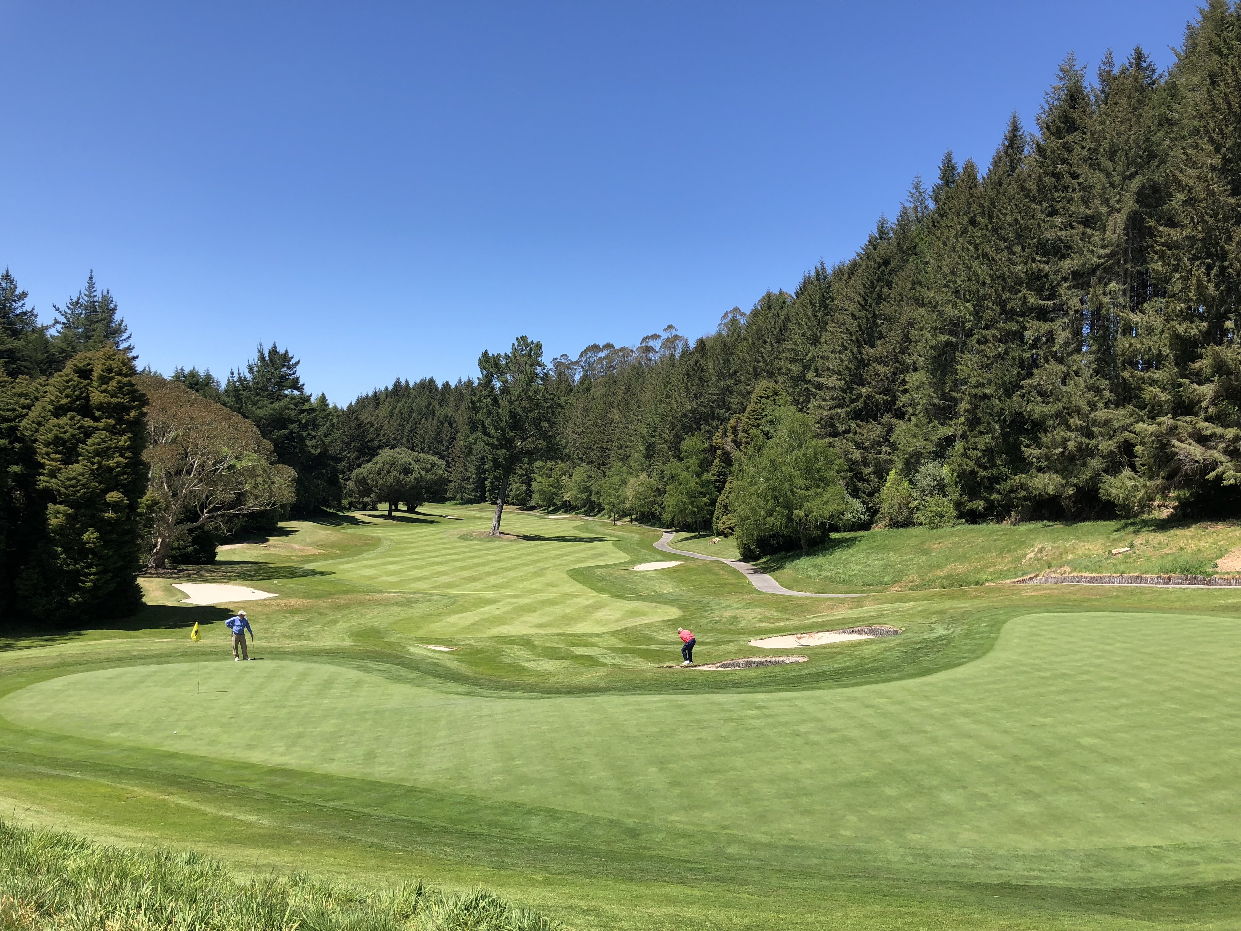 The Best of New Zealand Escorted 2018 - PerryGolf.com