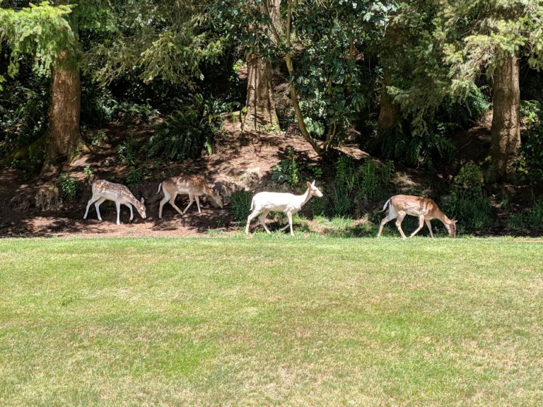 The Best of New Zealand Escorted 2018 - PerryGolf.com