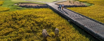 Laguna Lang Co Golf Club