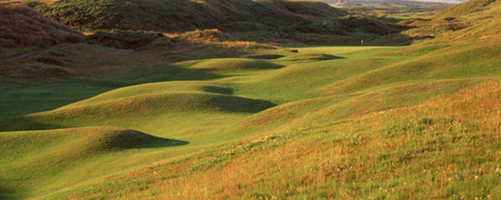 Royal Aberdeen by Aidan Bradley