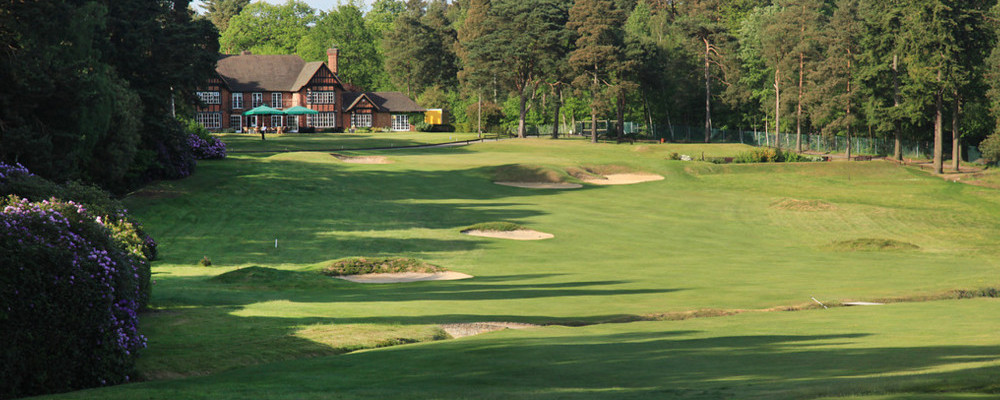 Swinley Forest