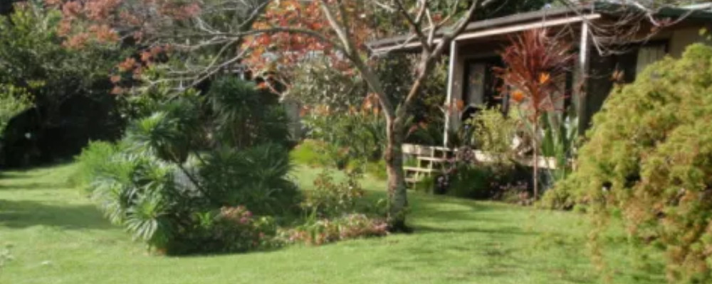 Wharepuke Motel Bay of Islands