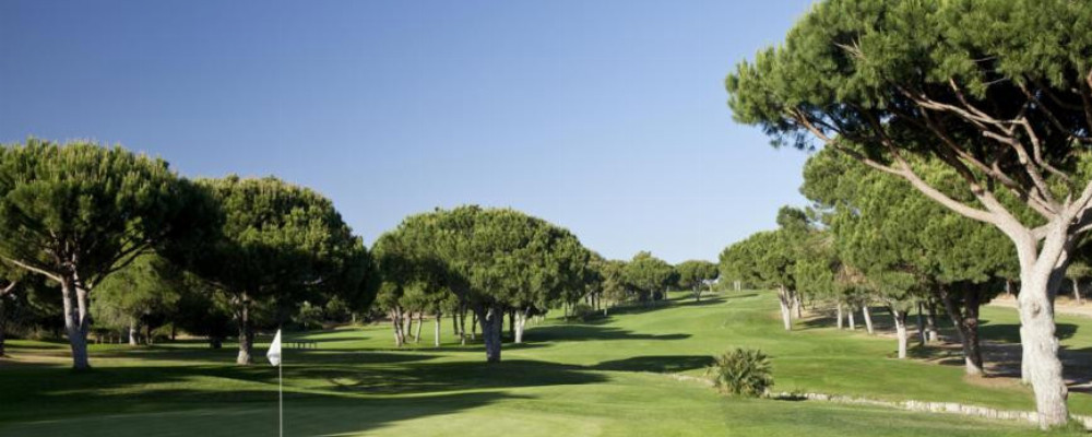 Vilamoura - Pinhal