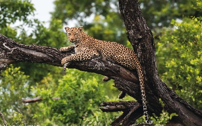 South Africa