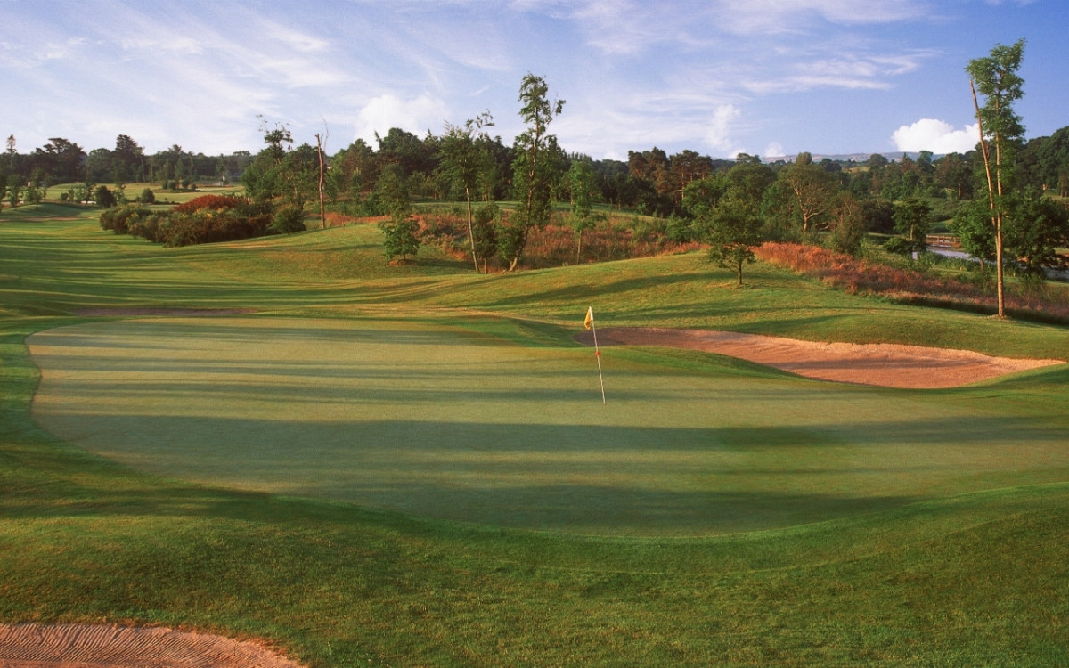 Druids Glen by Aidan Bradley